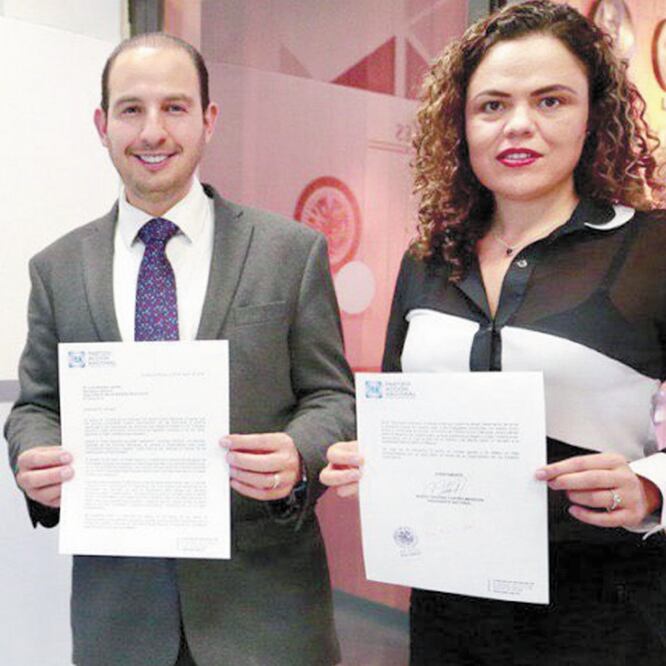 Otros señalamientos. El PAN indicó su preocupación por la reducción del financiamiento a los partidos, en una carta que envió a la OEA. TOMADA DE TWITTER