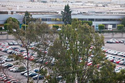 Conservar empleo, prioridad de VW en México: consultora