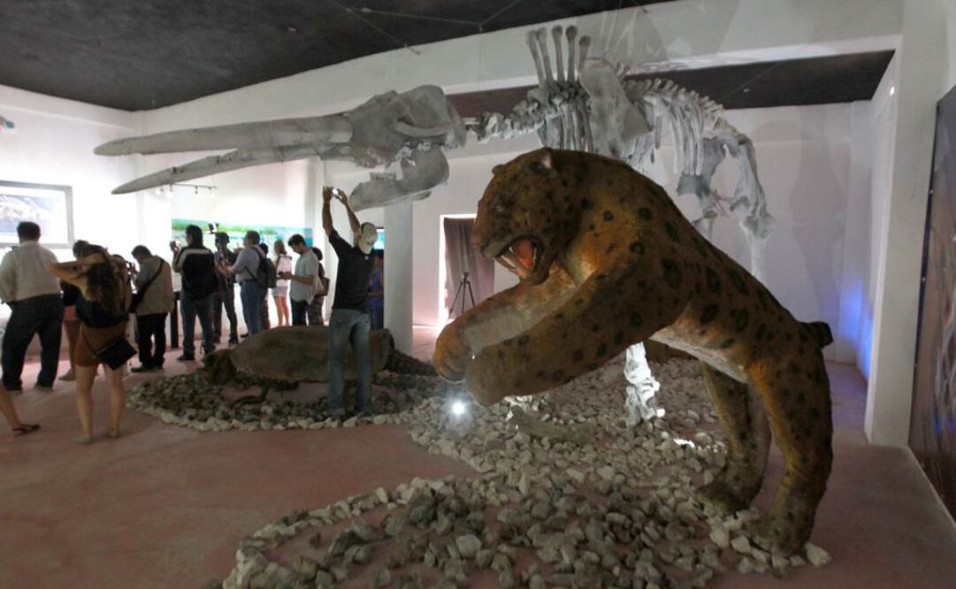 El el recinto participan directamente los auténticos propietarios de los terrenos. (FOTO: EFE)