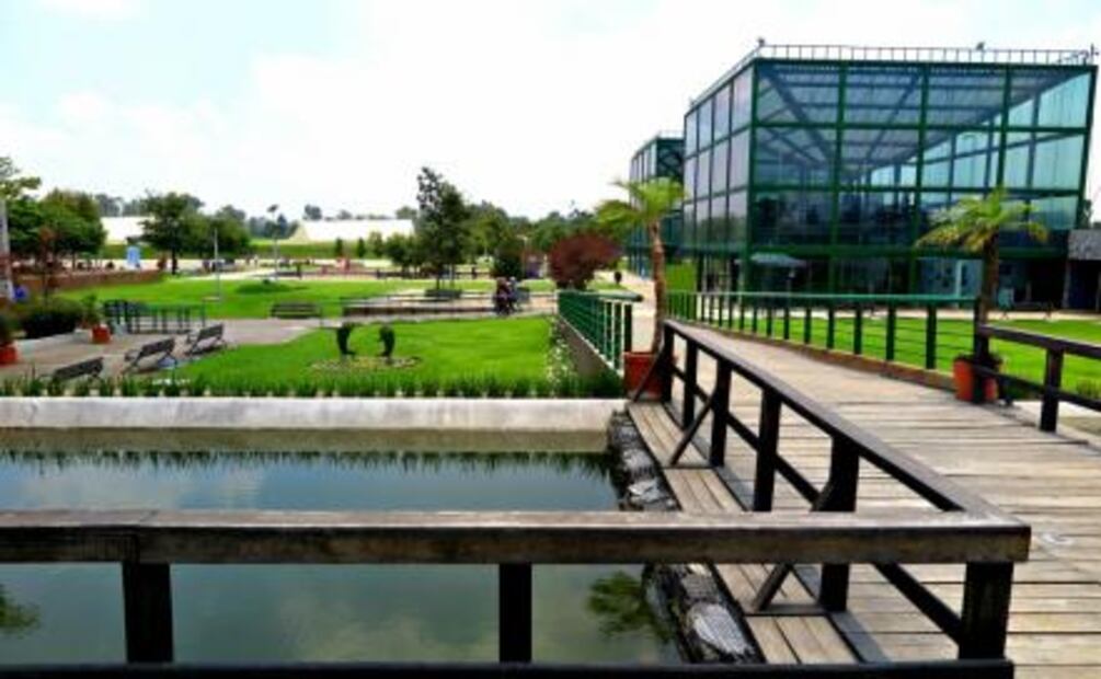 5 parques en la CDMX para irte de picnic