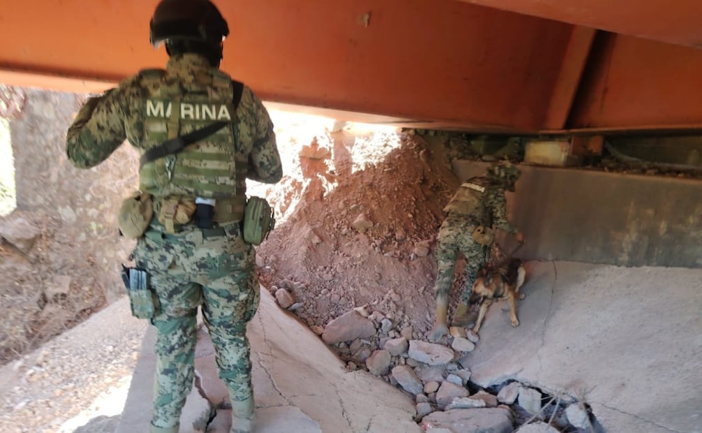 Puente "La Desembocada" en Puerto Vallarta. Foto: Juan Carlos Williams / EL UNIVERSAL