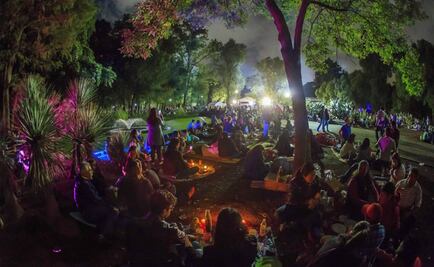 "Invasión de murciélagos": ¡el picnic nocturno en Chapultepec que no te puedes perder!