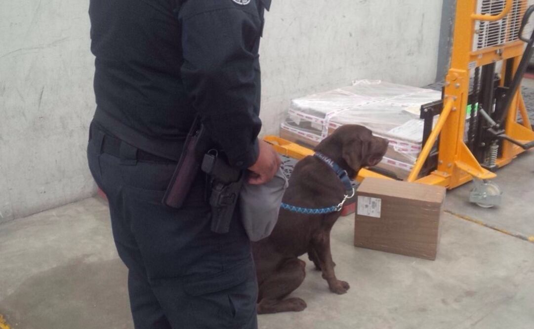 Carlos Arrieta/ EL UNIVERSAL