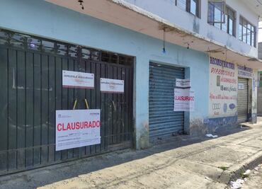 Rescatan en vivienda a 95 perros de ser vendidos como carne para alimento en Neza