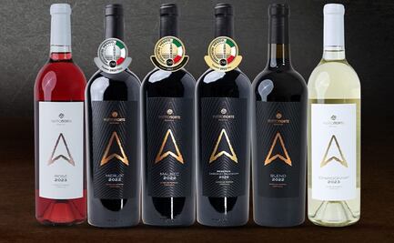 Punto Norte: La nueva promesa del vino mexicano