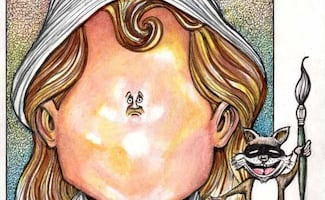 Tantas reformas a la democracia 