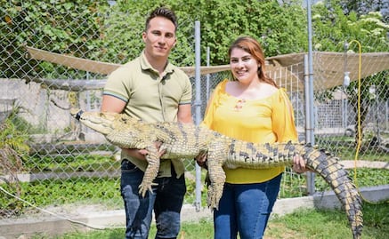 “Criar y cuidar cocodrilos es como tener dinosaurios”