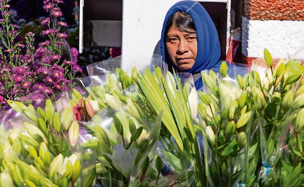 Mujeres Ñuu Savi de Oaxaca ya no migran, ahora siembran