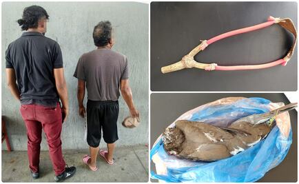 Detienen a padre e hijo por matar palomas con resorteras en Aguascalientes