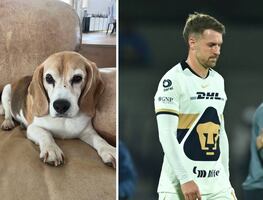 Aaron Ramsey ofrece 10 mil dólares de recompensa a quien le entregue de vuelta a su perro