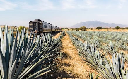 Cuánto cuesta el boleto del tren del tequila y qué incluye