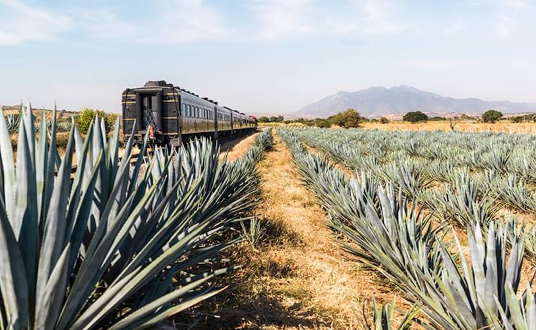 Conoce una de las experiencias más disfrutables de Jalisco en compañia del Tequila. Imagen: Facebook jose cuervo express