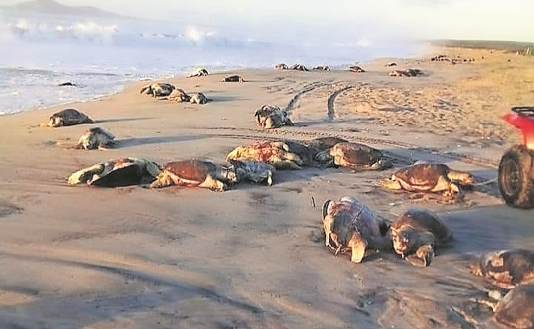 Los cadáveres quedaron en la playa Morro Ayuta, municipio de San Pedro Huamelula. Foto: ESPECIAL