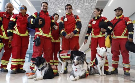 Rescatistas regresan a casa tras apoyo a Venezuela por terremotos; 14 canes de búsqueda concluyen misión humanitaria 