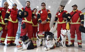 Rescatistas regresan a casa tras apoyo a Venezuela por terremotos; 14 canes de búsqueda concluyen misión humanitaria