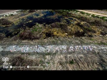 Profepa integra expediente por malecón Tajamar