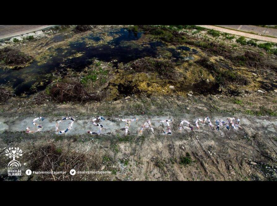 Foto especial: Cortesia de Salvemos Manglar Tajamar