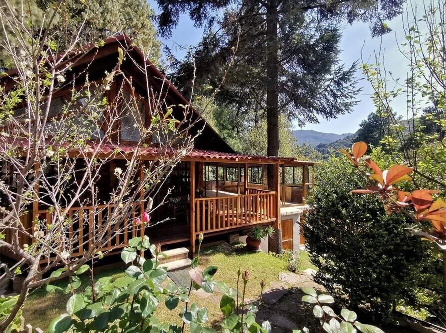 Foto: Facebook Campamento Las Manzanas 