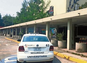 Caen 4 en CU por robo de autos