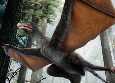 Un dinosaurio con alas de murciélago