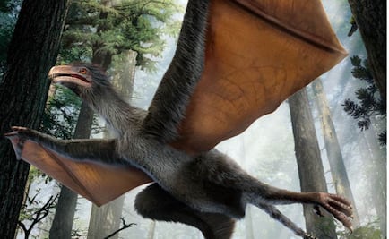 Un dinosaurio con alas de murciélago
