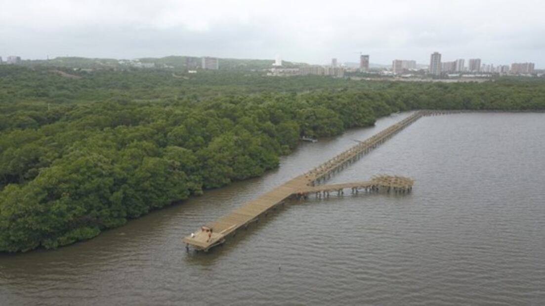 Ecoparque Ciénaga del Mallorquín, Barranquilla, Colombia. Foto: Cortesía del Gobierno de Barranquilla