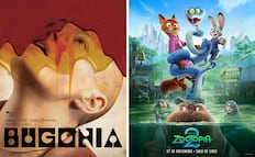 Premios Oscar 2026: 10 datos curiosos que debes saber de las nominaciones de este año