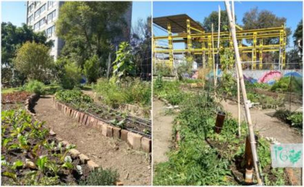 Reconocidos chefs buscan impulsar la cultura agraria