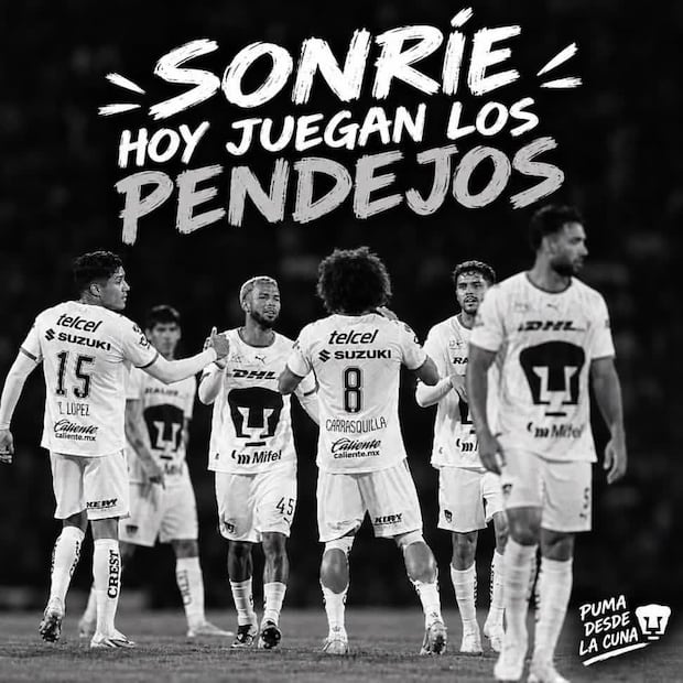 Pumas MEMES