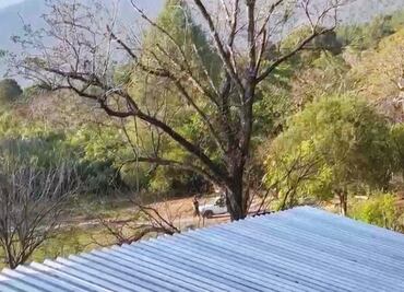 Productor de mezcal en Oaxaca sufre agresión armada; denuncia hostigamiento y amenazas