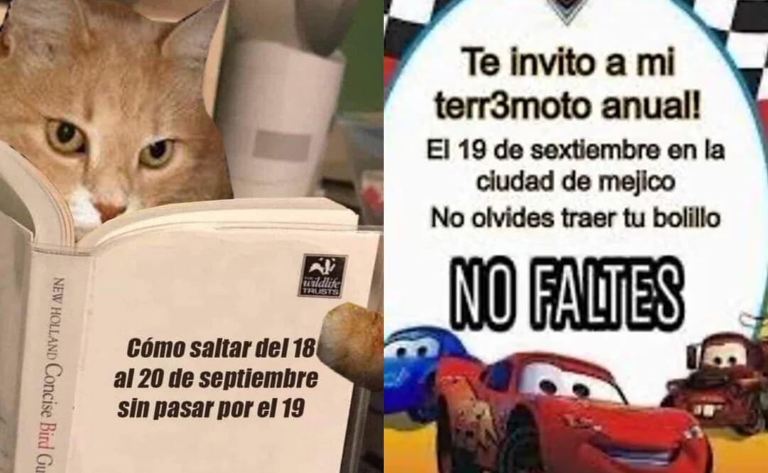 Memes Simulacro Nacional 2024. Foto: redes sociales