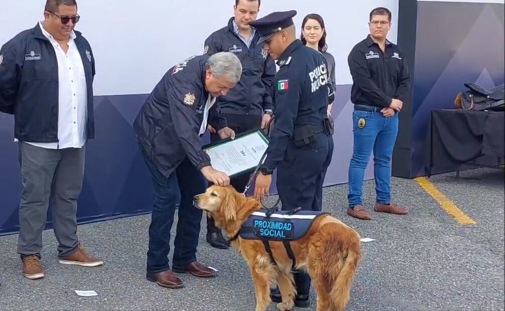 El binomio canino recibió un reconocimiento. Foto: Twitter