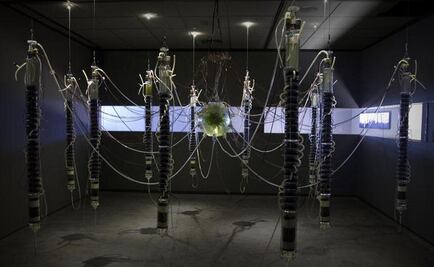 Arte biotecnológico de Gilberto Esparza es premiado en Austria