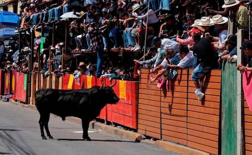 Huamantlada 2026 deja un muerto y 9 heridos; desde hace 8 años no se registraba el fallecimiento de algún participante