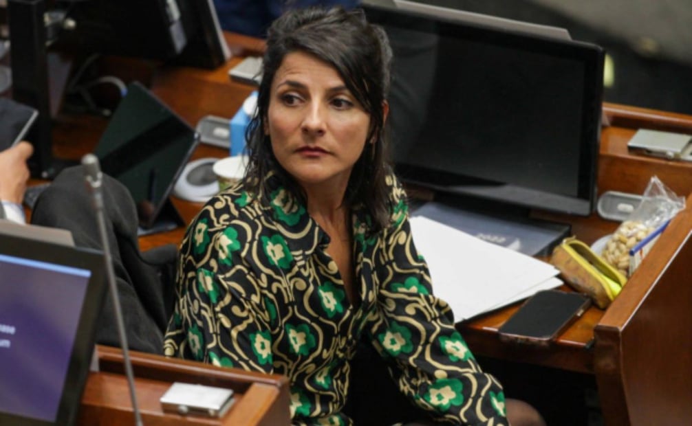 La ministra (e) de Ambiente en Colombia, Irene Vélez. Foto: El tiempo / GDA