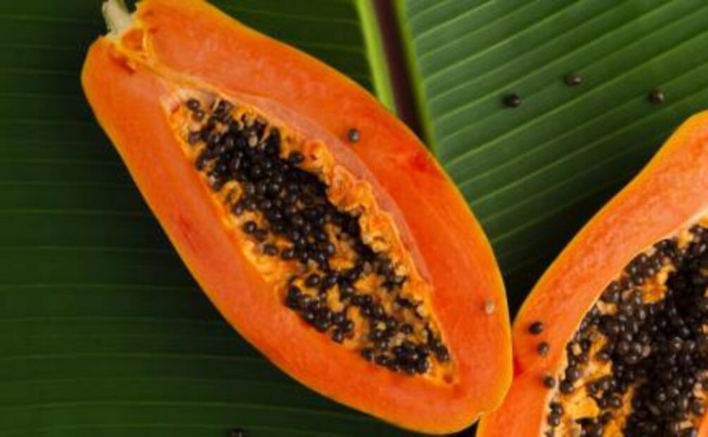 Alimentos que hidratan el cuerpo