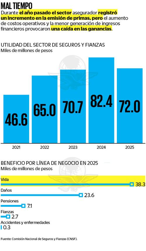 Fuente: Comisión Nacional de Seguros y Fianzas (CNSF)