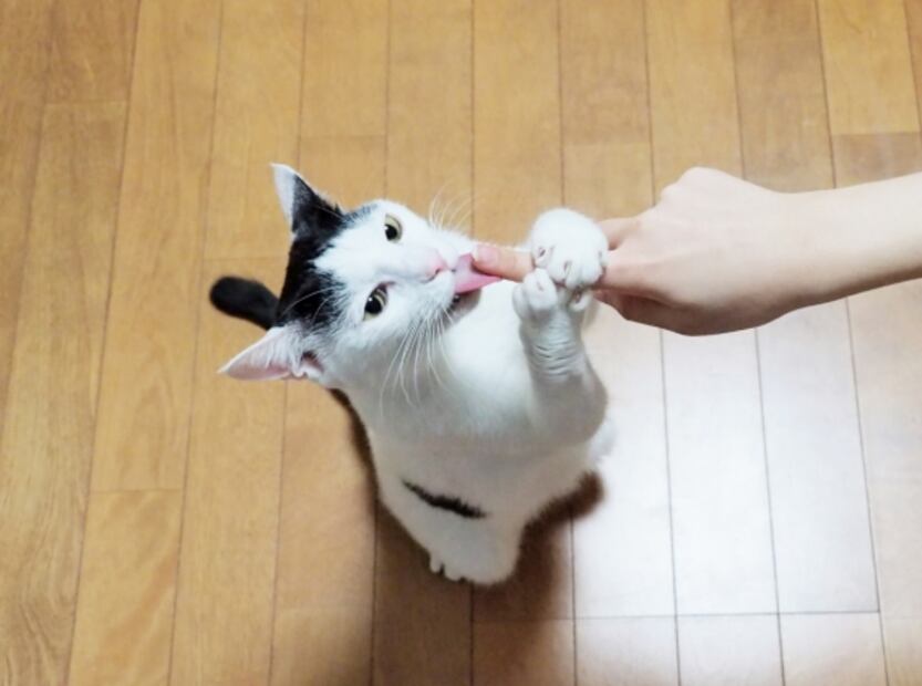 ¿Por qué la ausencia de la proteína que nos da el sentido del tacto podría afectar la vista y el oído?