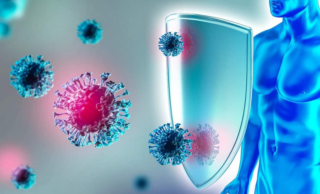 Con 88 millones de usuarias y usuarios de internet, México representa el primer paso para desbloquear y expandir la recaudación de fondos entre pares en toda América Latina, aseguró la firma GoFundMe. Foto: Producción EL UNIVERSAL