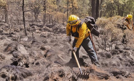 FOTOS: Controlan al 100% incendios forestales en Tepoztlán; van casi mil 800 hectáreas consumidas