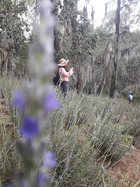 Foto: Rancho San Martín