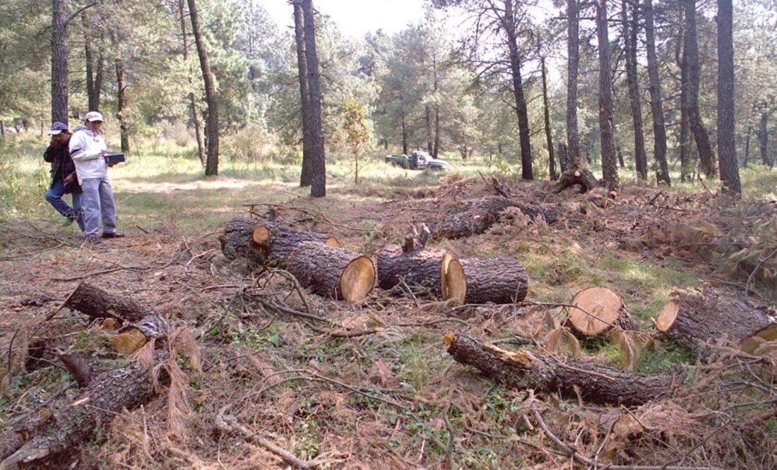 La Gendarmería Especializada en Misión Ambiental y la Comisión Nacional de Áreas Naturales Protegidas realizaron la reforestación del Parque Nacional Izta-Popo Zoquiapan, Estado de México. (Foto: Arhivo EL UNIVERSAL)