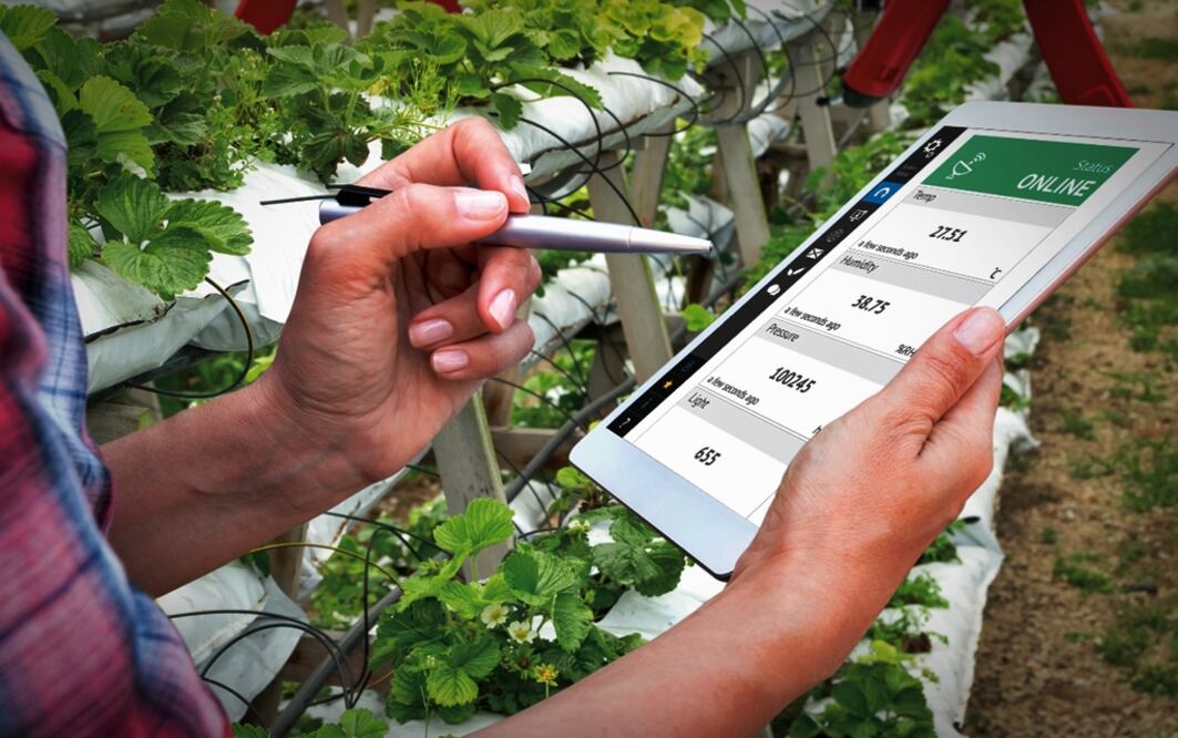 Foto: Archivo/EL UNIVERSAL