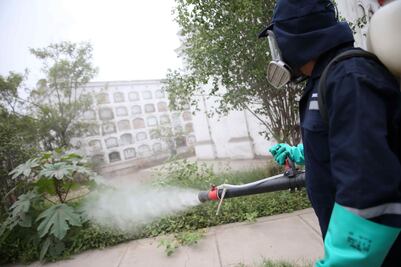 Intensifican acciones contra zika en Chiapas
