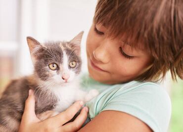 Conoce el motivo por el que los gatos muerden las manos, según técnica en psicología felina