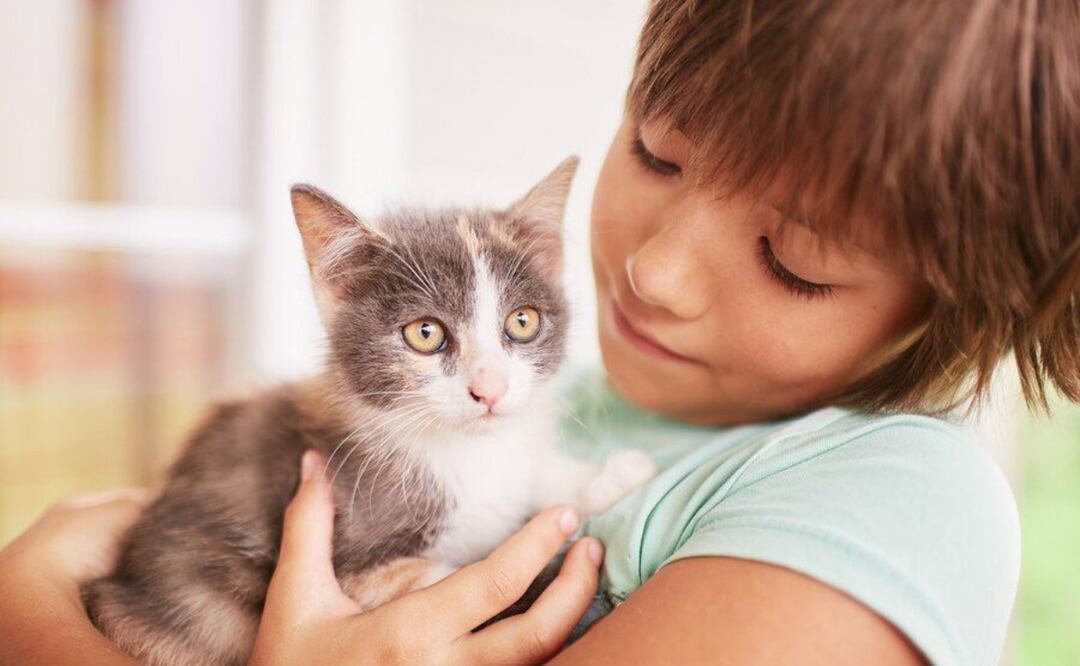 Los gatos son seres sensibles que se comunican de manera única. Fuente: Freepik