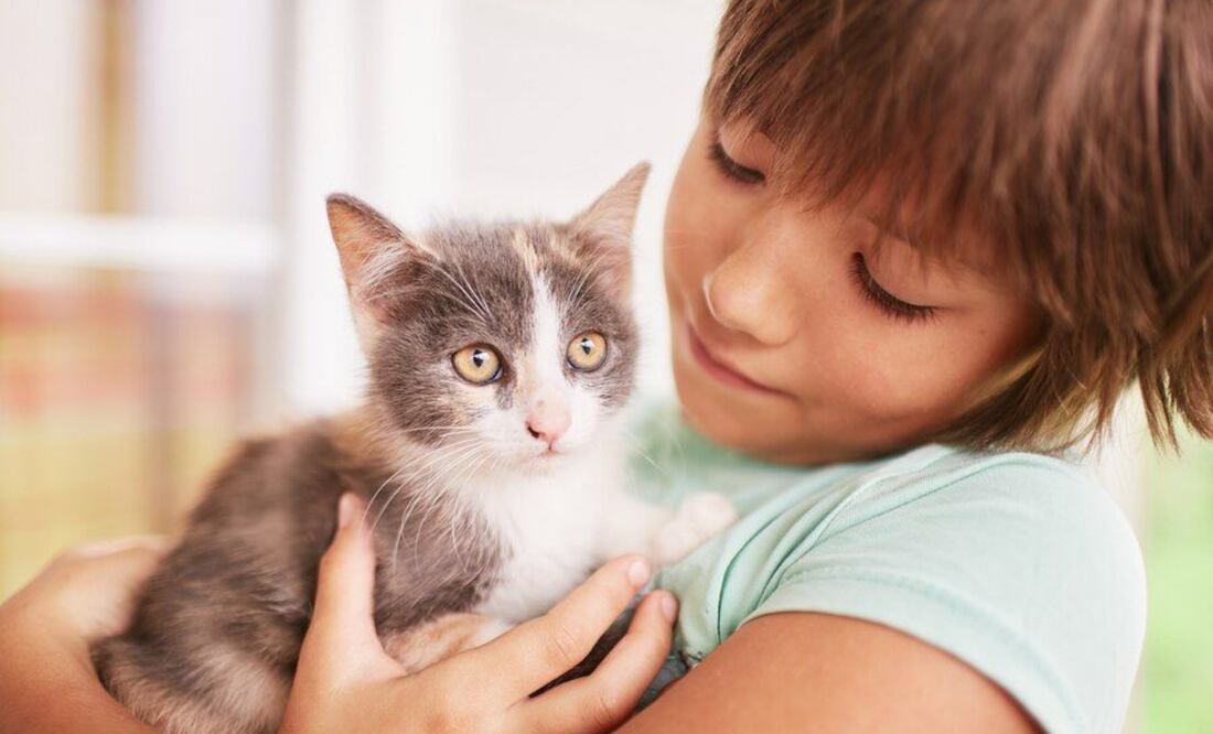 Los gatos son seres sensibles que se comunican de manera única. Fuente: Freepik