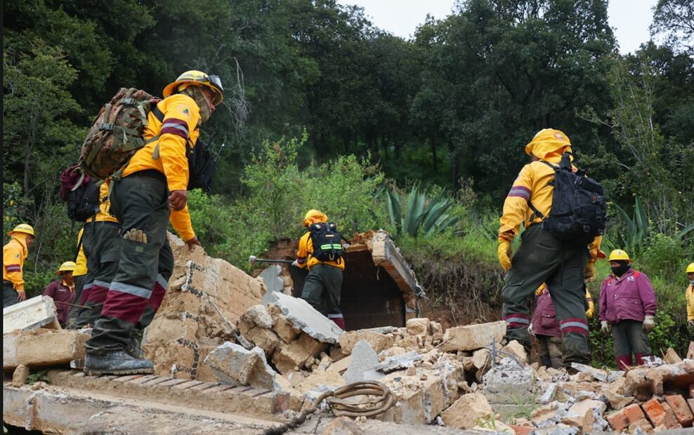 Personal de la Sedema realizó un operativo en la zona boscosa de Los Dinamos, donde se intervinieron 10 hectáreas, cuatro de ellas ocupadas ilegalmente. Foto: especial
