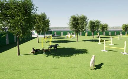 Fundación Haghenbeck ofrece un nuevo hogar para perros de Refugio Franciscano