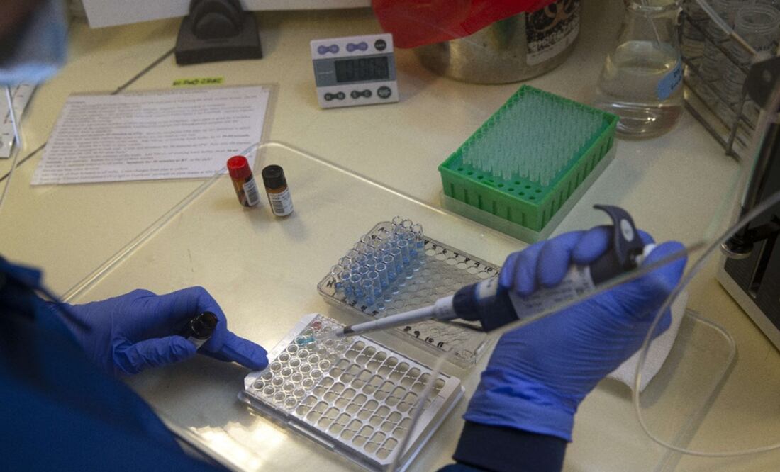 IPN scientists develop rapid diagnostic tests for COVID-19